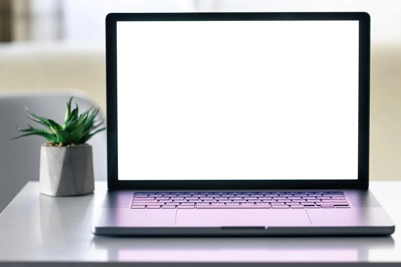 Laptop mit leerem Bildschirm auf einem weißen Tisch mit einem Blumentopf