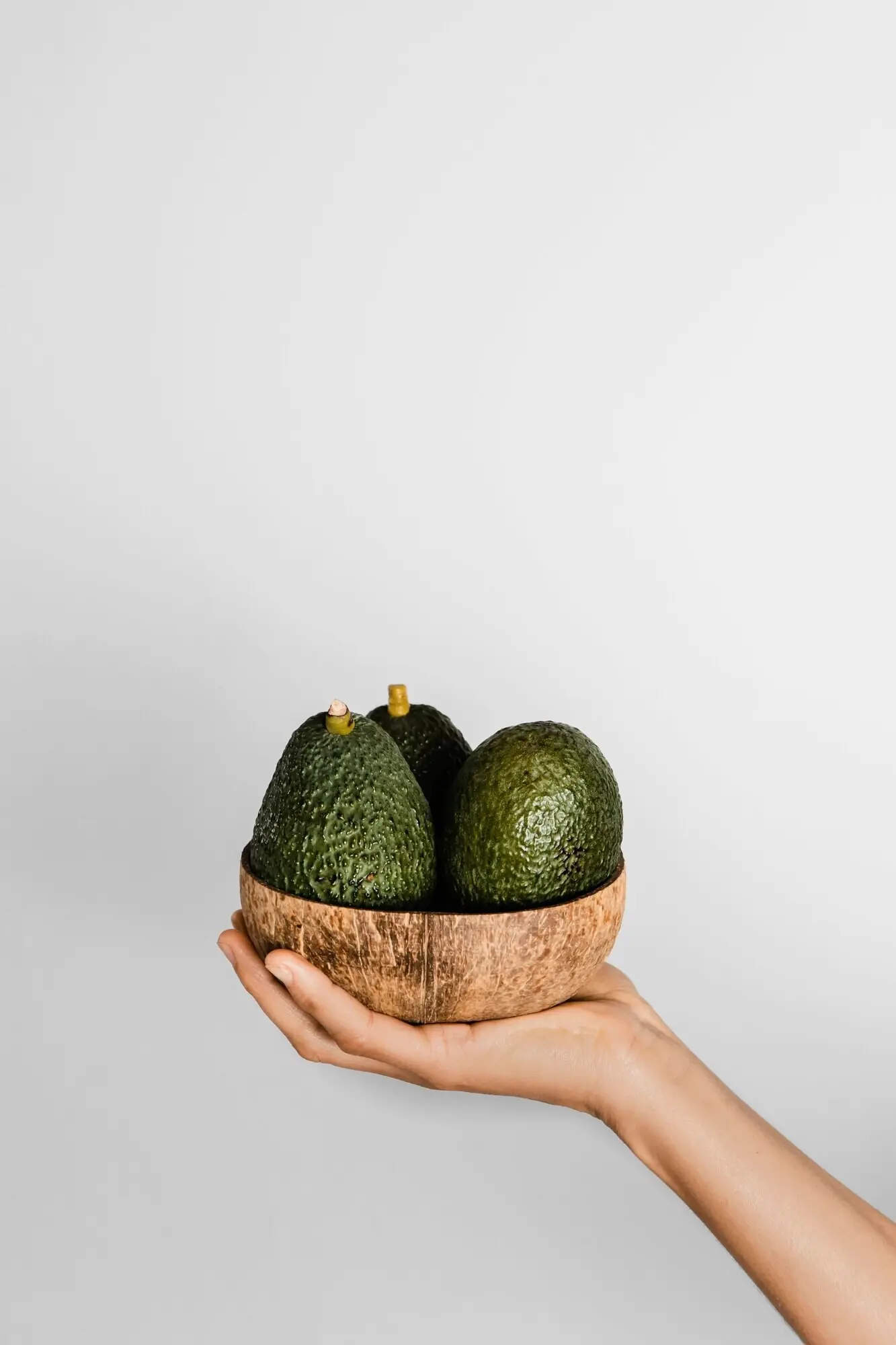 Abstraktes, minimalistisches Konzept: Avocados in einer Schüssel.